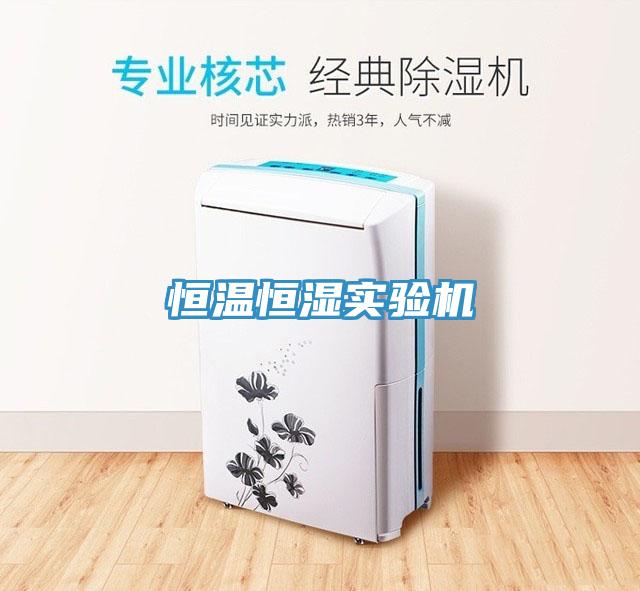 恒溫恒濕實驗機(jī)