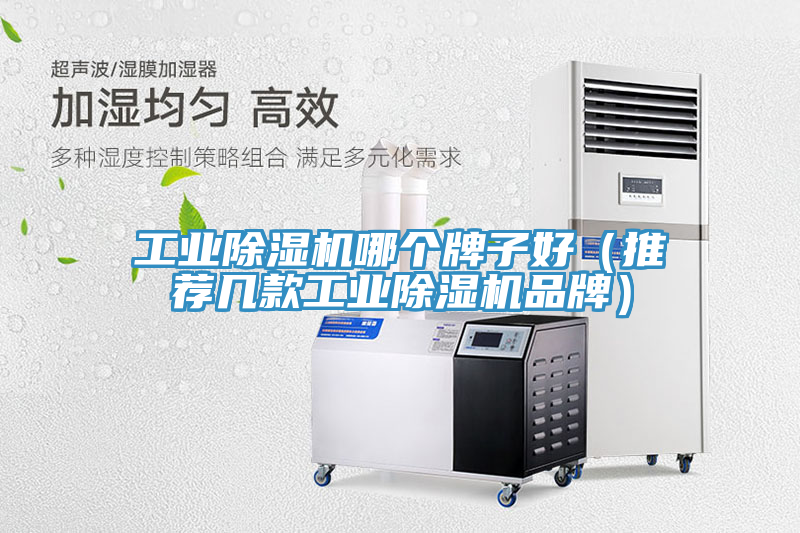 工業(yè)除濕機(jī)哪個(gè)牌子好（推薦幾款工業(yè)除濕機(jī)品牌）