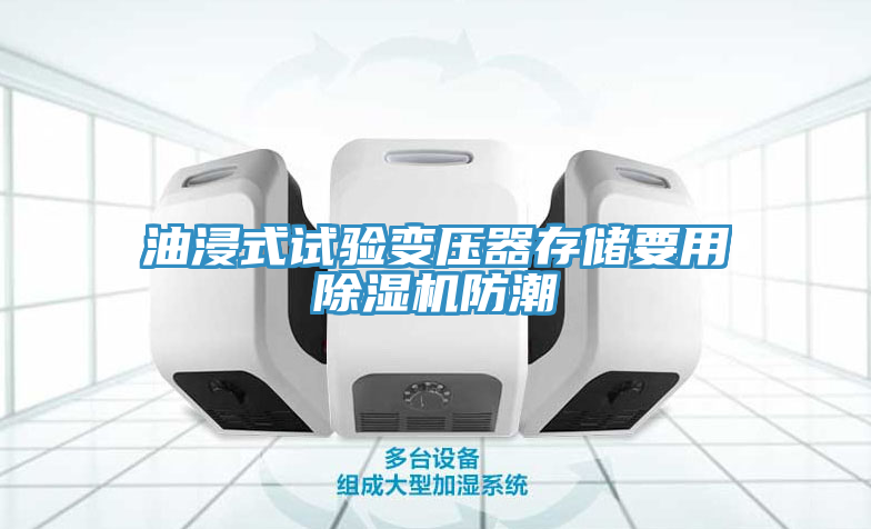 油浸式試驗(yàn)變壓器存儲(chǔ)要用除濕機(jī)防潮