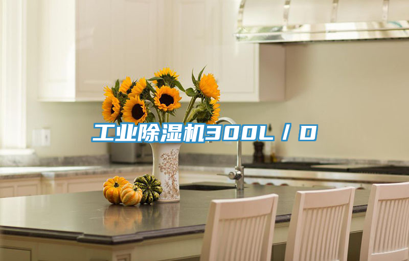 工業(yè)除濕機300L／D