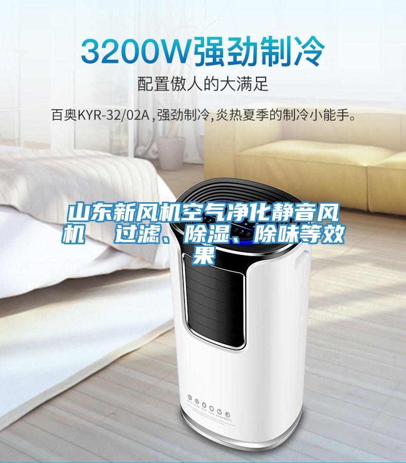 山東新風(fēng)機(jī)空氣凈化靜音風(fēng)機(jī)  過濾、除濕、除味等效果