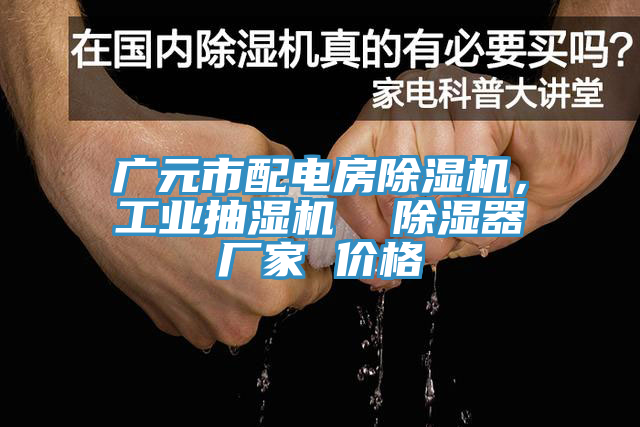 廣元市配電房除濕機，工業(yè)抽濕機  除濕器廠家 價格