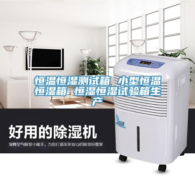 恒溫恒濕測試箱 小型恒溫恒濕箱 恒濕恒濕試驗箱生產(chǎn)