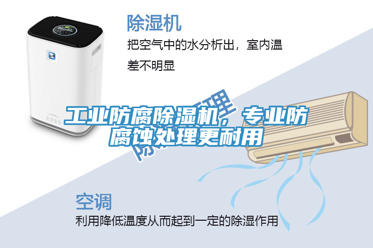 工業(yè)防腐除濕機，專業(yè)防腐蝕處理更耐用