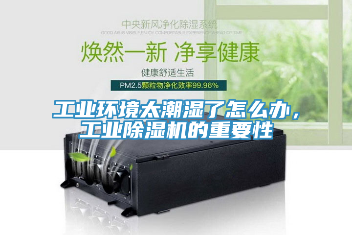 工業(yè)環(huán)境太潮濕了怎么辦，工業(yè)除濕機(jī)的重要性