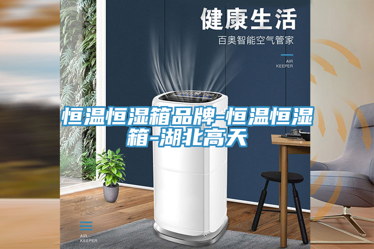 恒溫恒濕箱品牌-恒溫恒濕箱-湖北高天