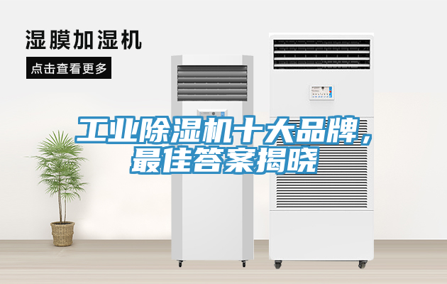 工業(yè)除濕機(jī)十大品牌，最佳答案揭曉