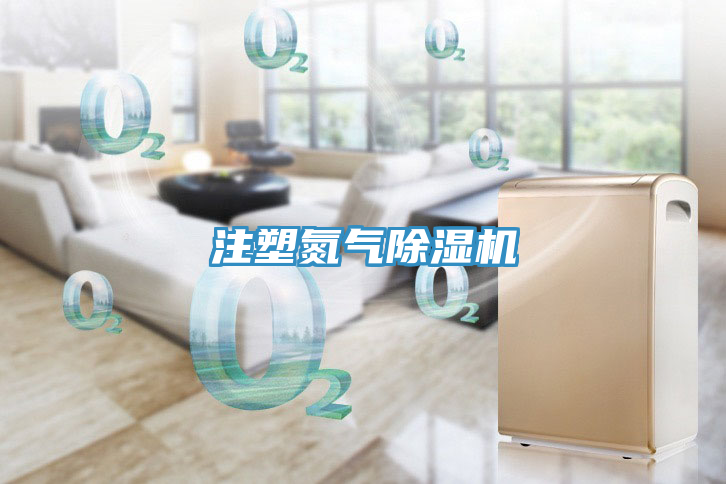 注塑氮?dú)獬凉駲C(jī)