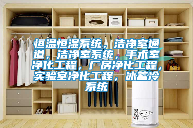 恒溫恒濕系統(tǒng)，潔凈室通道，潔凈室系統(tǒng)，手術(shù)室凈化工程，廠房凈化工程，實(shí)驗(yàn)室凈化工程，冰蓄冷系統(tǒng)