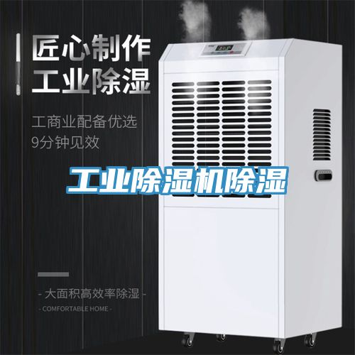 工業(yè)除濕機(jī)除濕