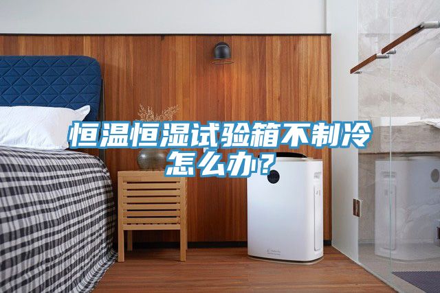 恒溫恒濕試驗(yàn)箱不制冷怎么辦？