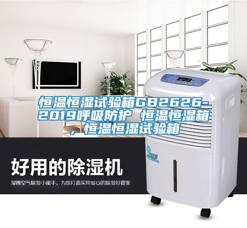 恒溫恒濕試驗(yàn)箱GB2626-2019呼吸防護(hù) 恒溫恒濕箱，恒溫恒濕試驗(yàn)箱