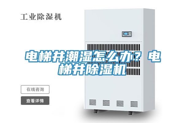 電梯井潮濕怎么辦？電梯井除濕機