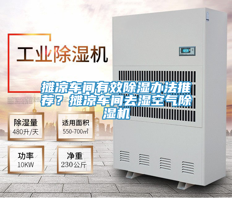 攤涼車間有效除濕辦法推薦？攤涼車間去濕空氣除濕機