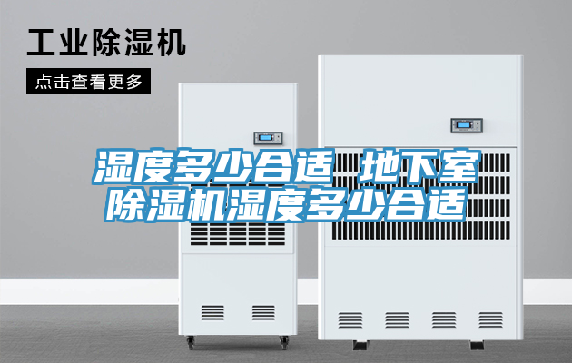 濕度多少合適 地下室除濕機濕度多少合適