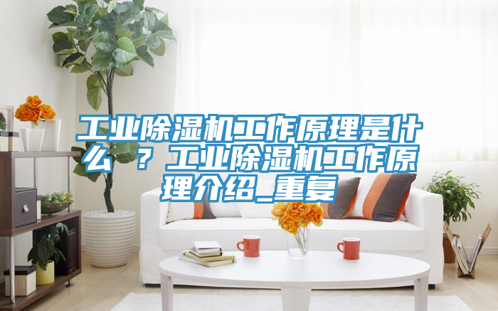 工業(yè)除濕機(jī)工作原理是什么 ？工業(yè)除濕機(jī)工作原理介紹_重復(fù)