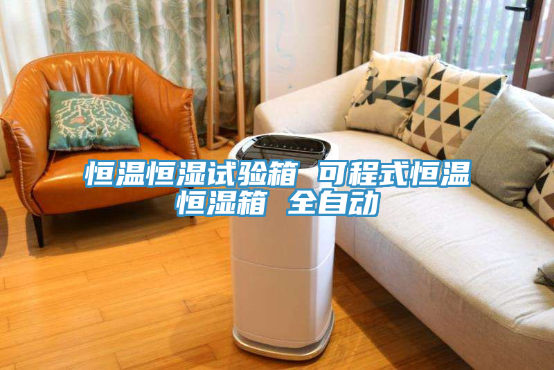 恒溫恒濕試驗(yàn)箱 可程式恒溫恒濕箱 全自動