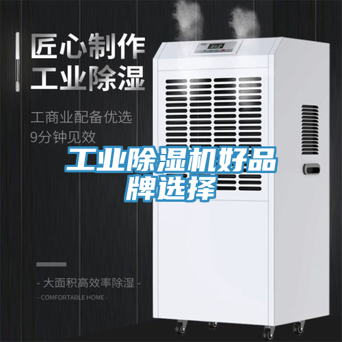 工業(yè)除濕機(jī)好品牌選擇