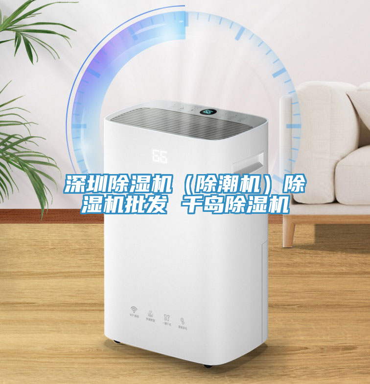 深圳除濕機(jī)（除潮機(jī)）除濕機(jī)批發(fā) 千島除濕機(jī)