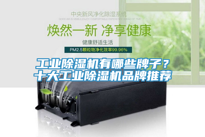 工業(yè)除濕機(jī)有哪些牌子？十大工業(yè)除濕機(jī)品牌推薦