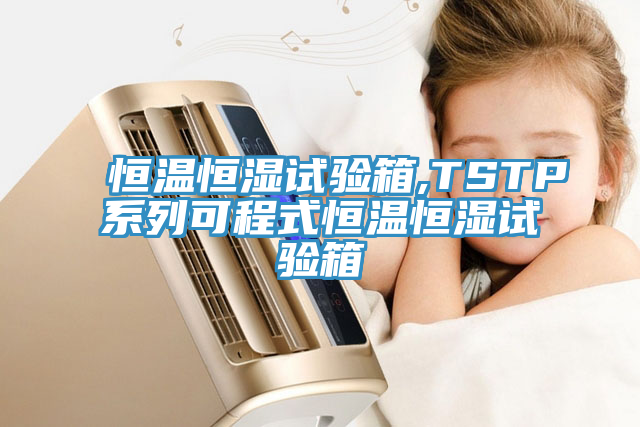 恒溫恒濕試驗(yàn)箱,TSTP系列可程式恒溫恒濕試驗(yàn)箱