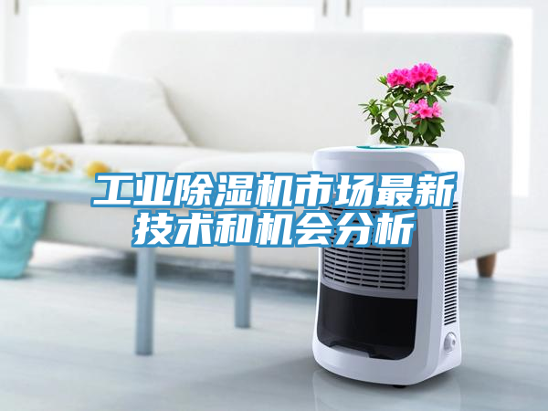 工業(yè)除濕機(jī)市場(chǎng)最新技術(shù)和機(jī)會(huì)分析