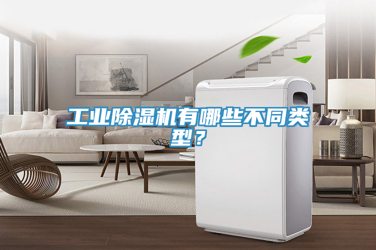 工業(yè)除濕機(jī)有哪些不同類型？