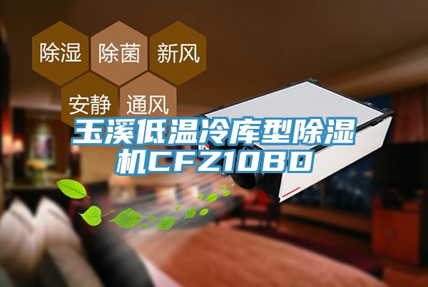 玉溪低溫冷庫型除濕機CFZ10BD