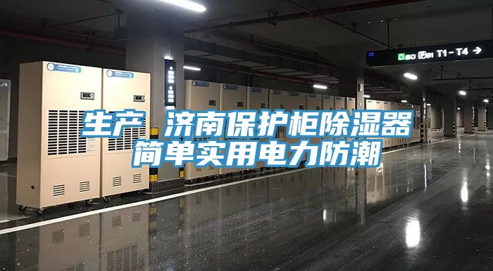 生產(chǎn) 濟南保護柜除濕器 簡單實用電力防潮