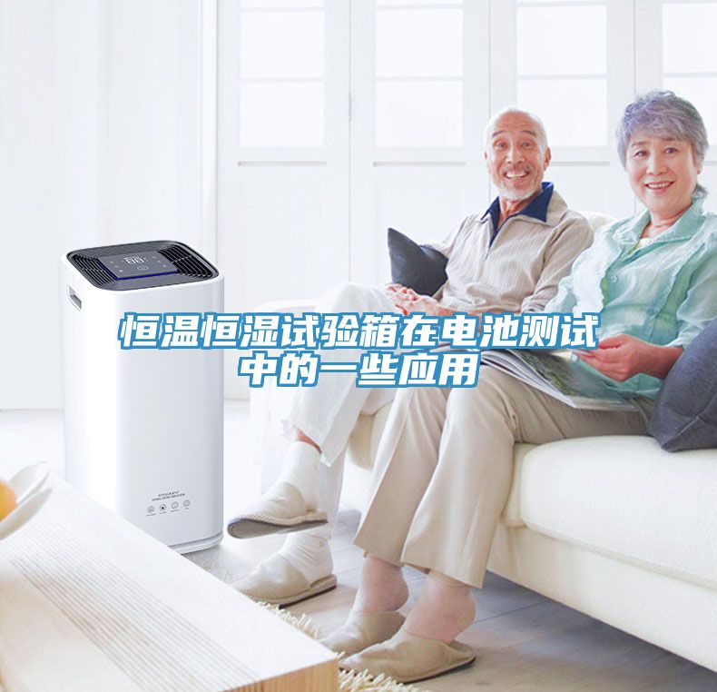 恒溫恒濕試驗(yàn)箱在電池測試中的一些應(yīng)用