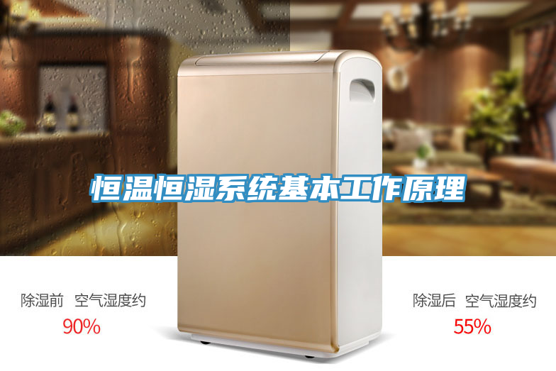 恒溫恒濕系統(tǒng)基本工作原理