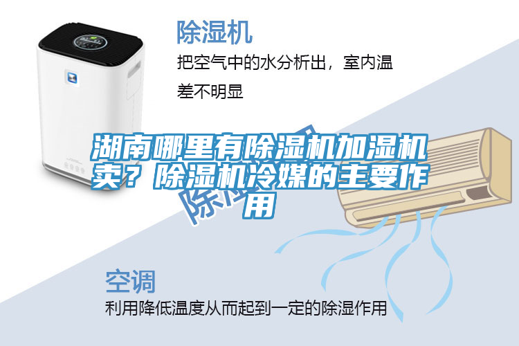 湖南哪里有除濕機加濕機賣？除濕機冷媒的主要作用