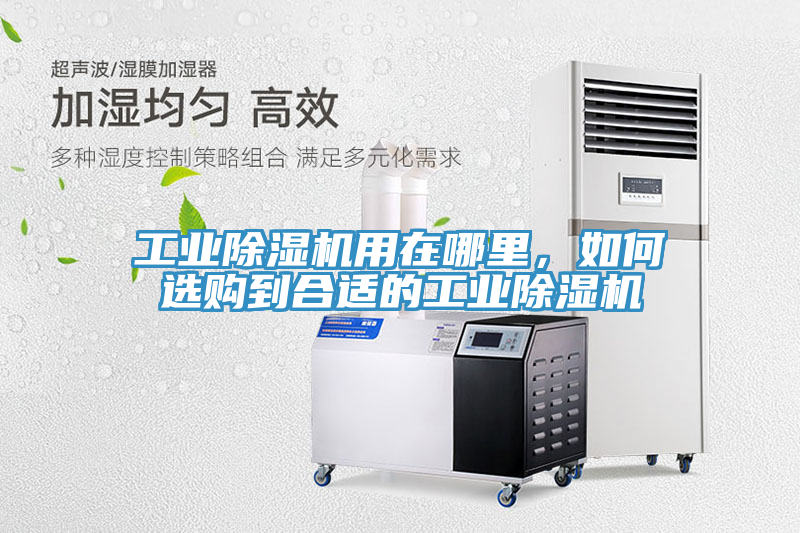 工業(yè)除濕機(jī)用在哪里，如何選購到合適的工業(yè)除濕機(jī)