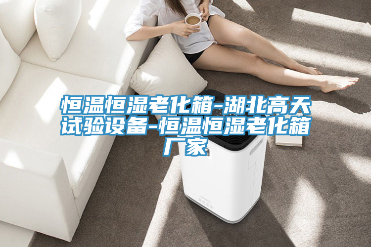 恒溫恒濕老化箱-湖北高天試驗(yàn)設(shè)備-恒溫恒濕老化箱廠家