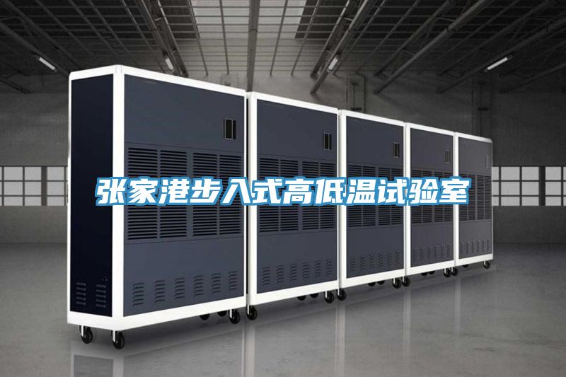 張家港步入式高低溫試驗室