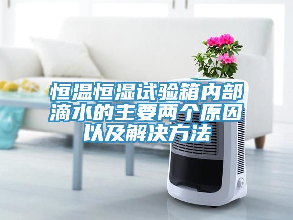 恒溫恒濕試驗(yàn)箱內(nèi)部滴水的主要兩個(gè)原因以及解決方法