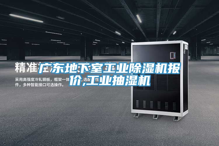 廣東地下室工業(yè)除濕機(jī)報(bào)價(jià),工業(yè)抽濕機(jī)