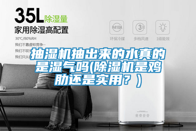 抽濕機抽出來的水真的是濕氣嗎(除濕機是雞肋還是實用？)