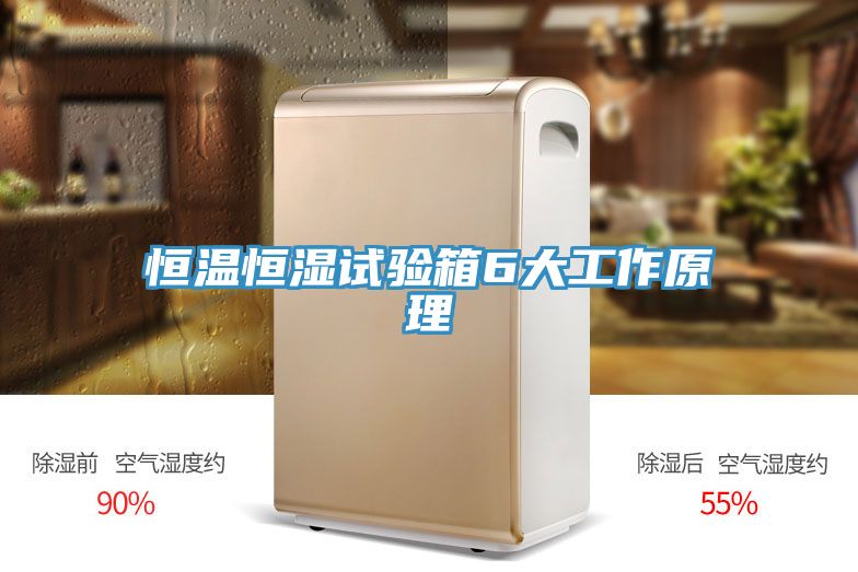 恒溫恒濕試驗(yàn)箱6大工作原理