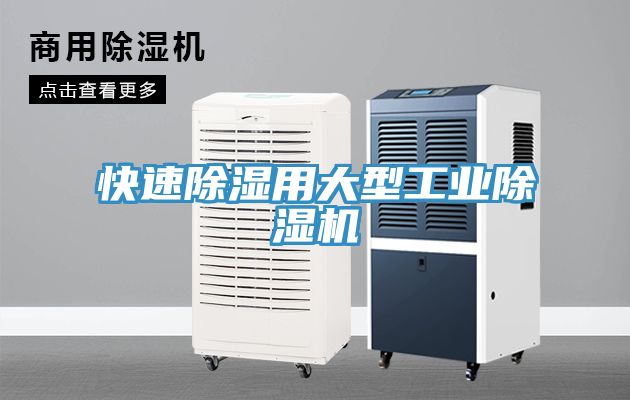 快速除濕用大型工業(yè)除濕機(jī)