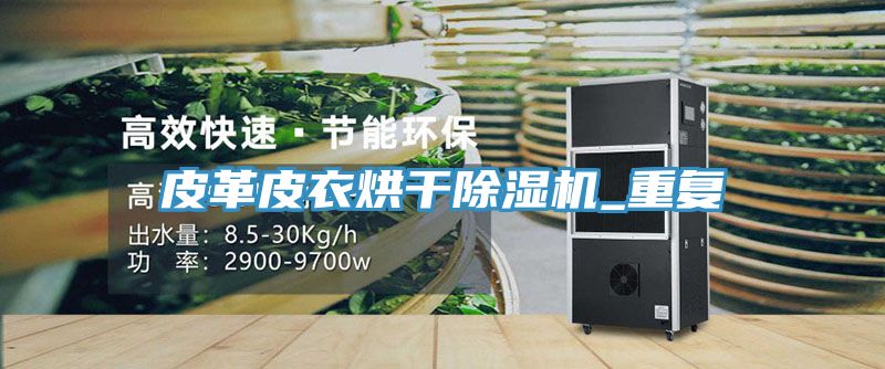 皮革皮衣烘干除濕機(jī)_重復(fù)