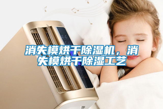 消失模烘干除濕機，消失模烘干除濕工藝