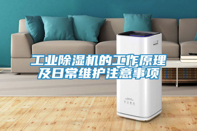 工業(yè)除濕機(jī)的工作原理及日常維護(hù)注意事項(xiàng)