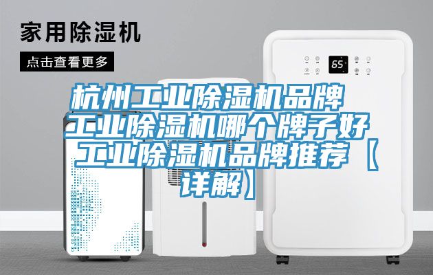 杭州工業(yè)除濕機(jī)品牌 工業(yè)除濕機(jī)哪個牌子好 工業(yè)除濕機(jī)品牌推薦【詳解】