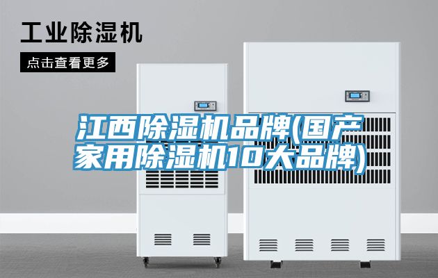 江西除濕機(jī)品牌(國(guó)產(chǎn)家用除濕機(jī)10大品牌)