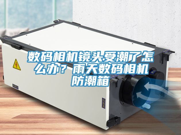 數(shù)碼相機鏡頭受潮了怎么辦？雨天數(shù)碼相機防潮箱