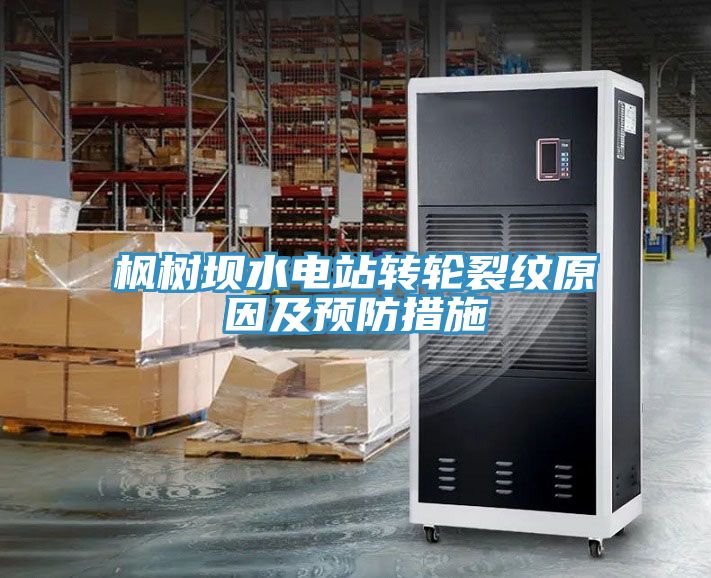 楓樹壩水電站轉(zhuǎn)輪裂紋原因及預防措施