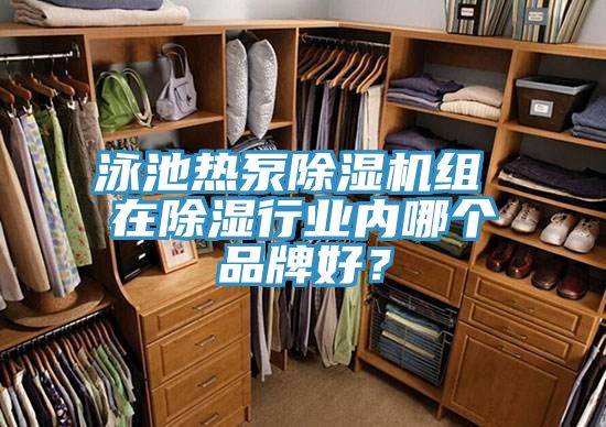 泳池?zé)岜贸凉駲C組 在除濕行業(yè)內(nèi)哪個品牌好？