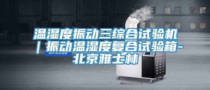 溫濕度振動三綜合試驗機｜振動溫濕度復(fù)合試驗箱-北京雅士林