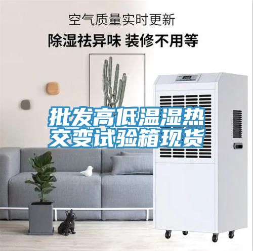 批發(fā)高低溫濕熱交變試驗箱現(xiàn)貨
